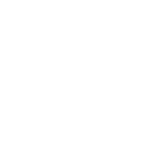 rocket icon